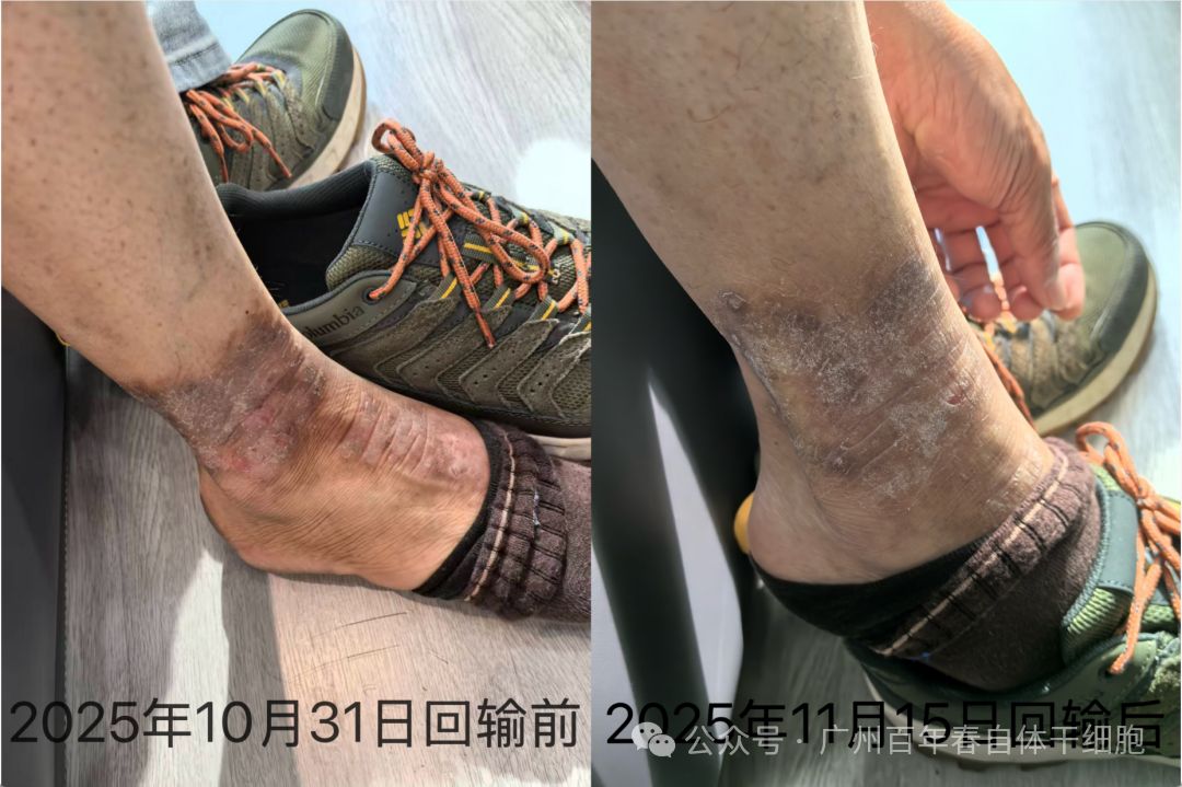 微信图片_2025-12-01_145533_990