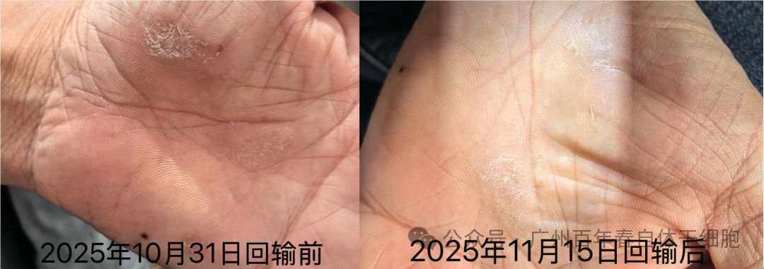 微信图片_2025-12-01_145513_481.png