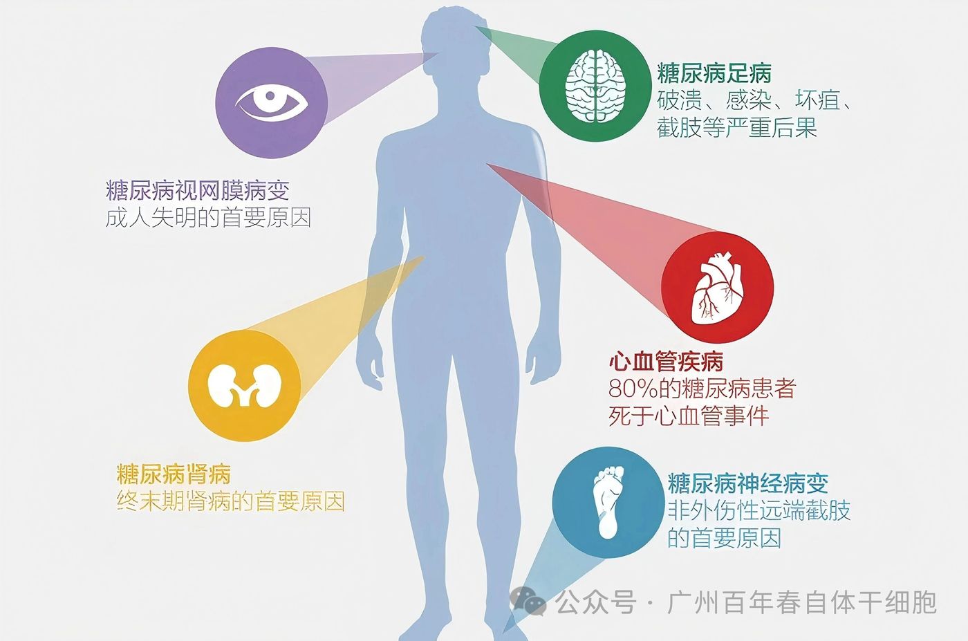 微信图片_2026-03-06_171604_298.jpg