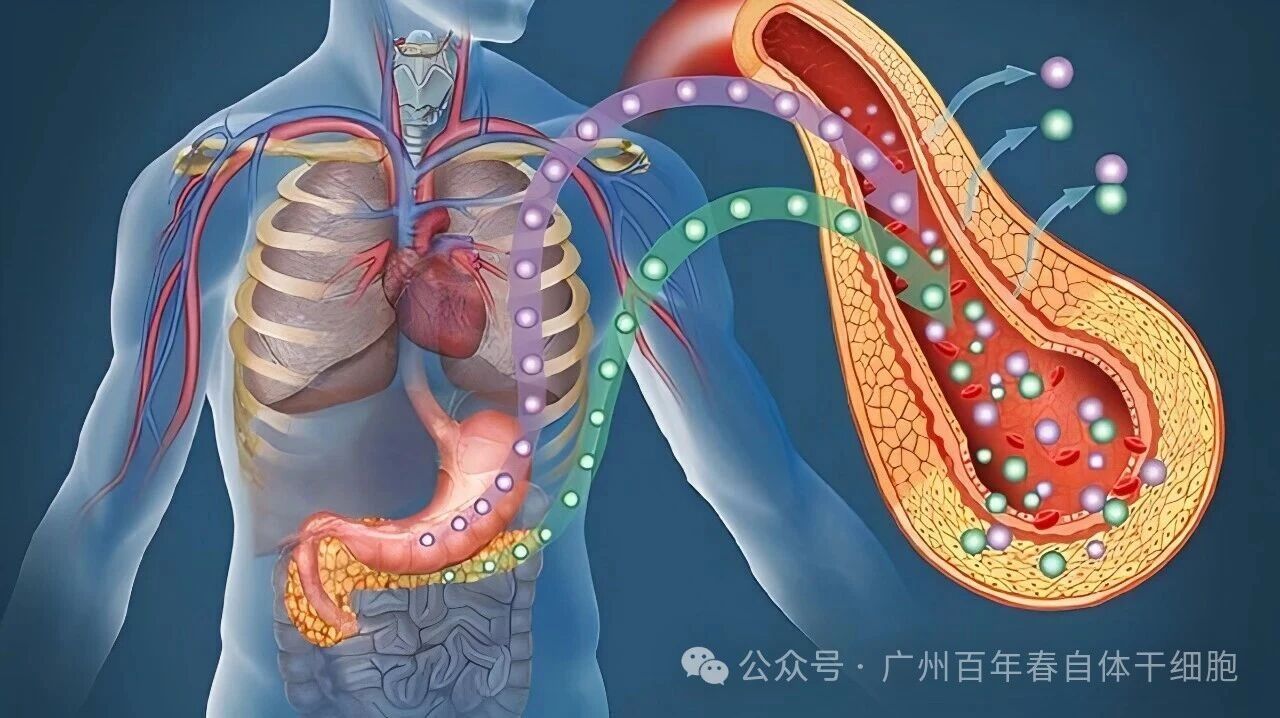 微信图片_2026-03-06_171608_129